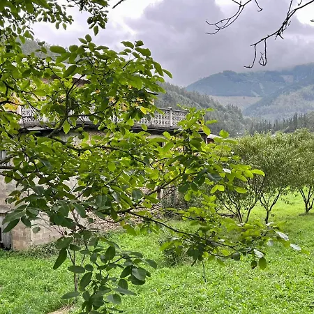 Bonito Apartamento Rural, Wifi, Terraza Y Piscina En Navelgas